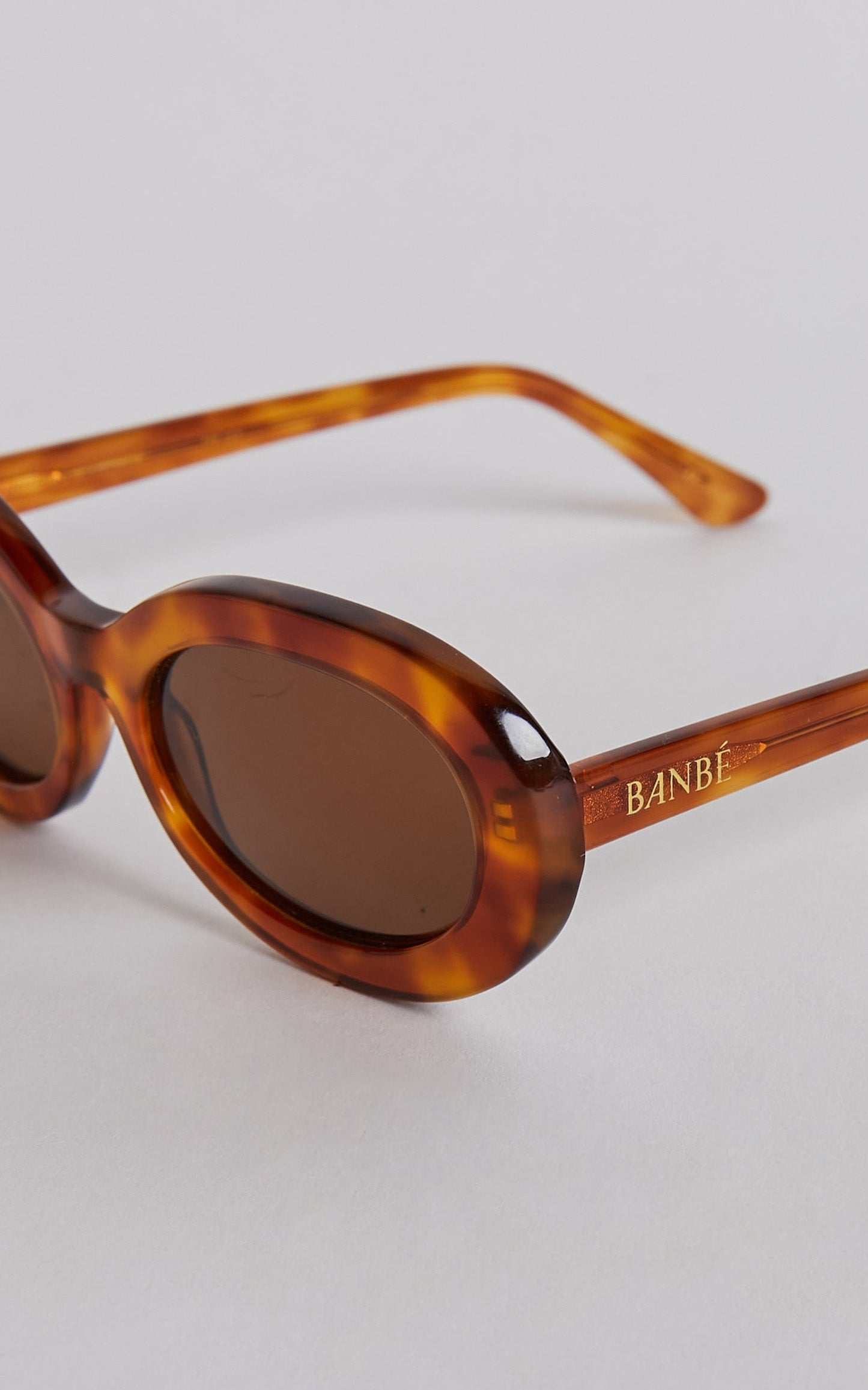 Aaliya Round Sunglasses in Tort Brown