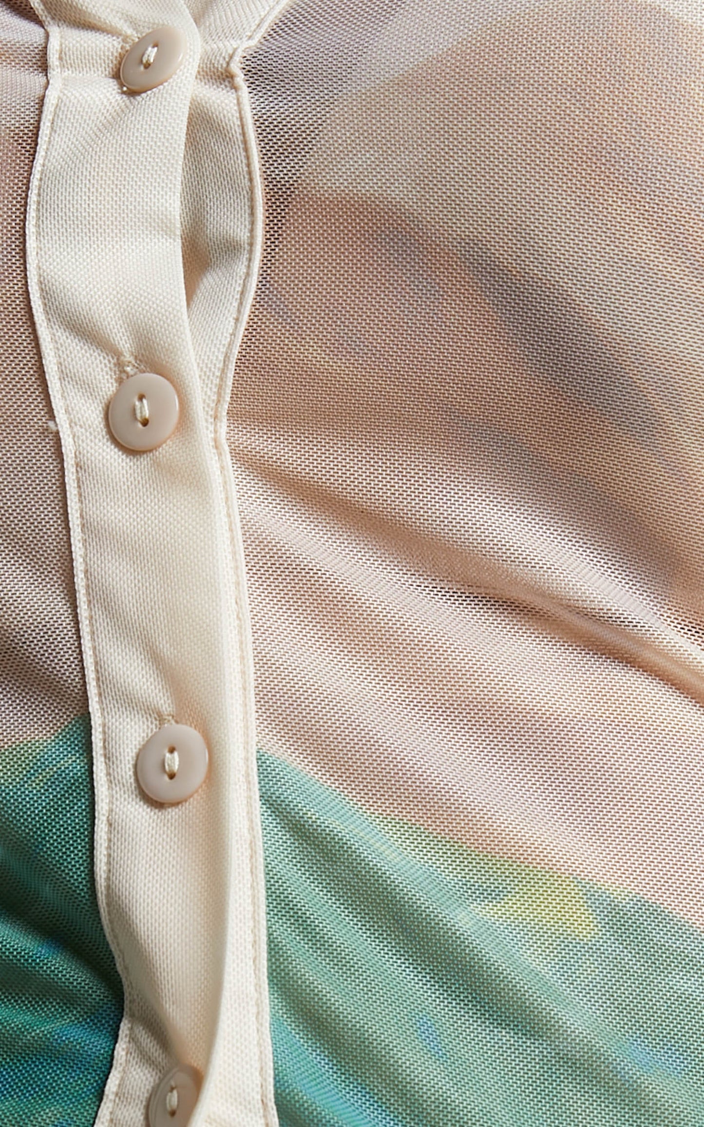 4th & Reckless - Elyanna Top in Sheer Print