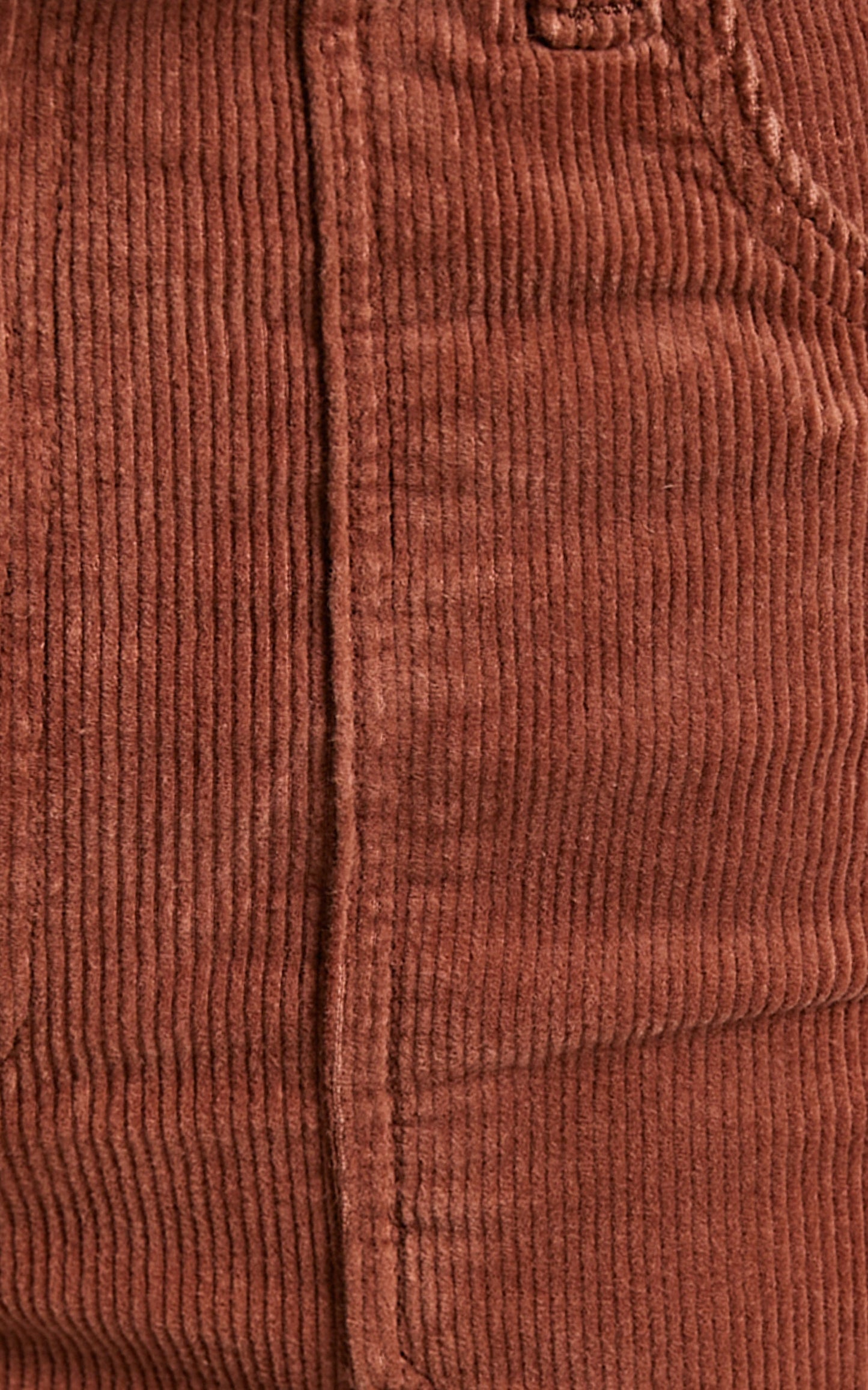 Phoebe Tonkin x Rolla's - EASTCOAST FLARE in CHESTNUT