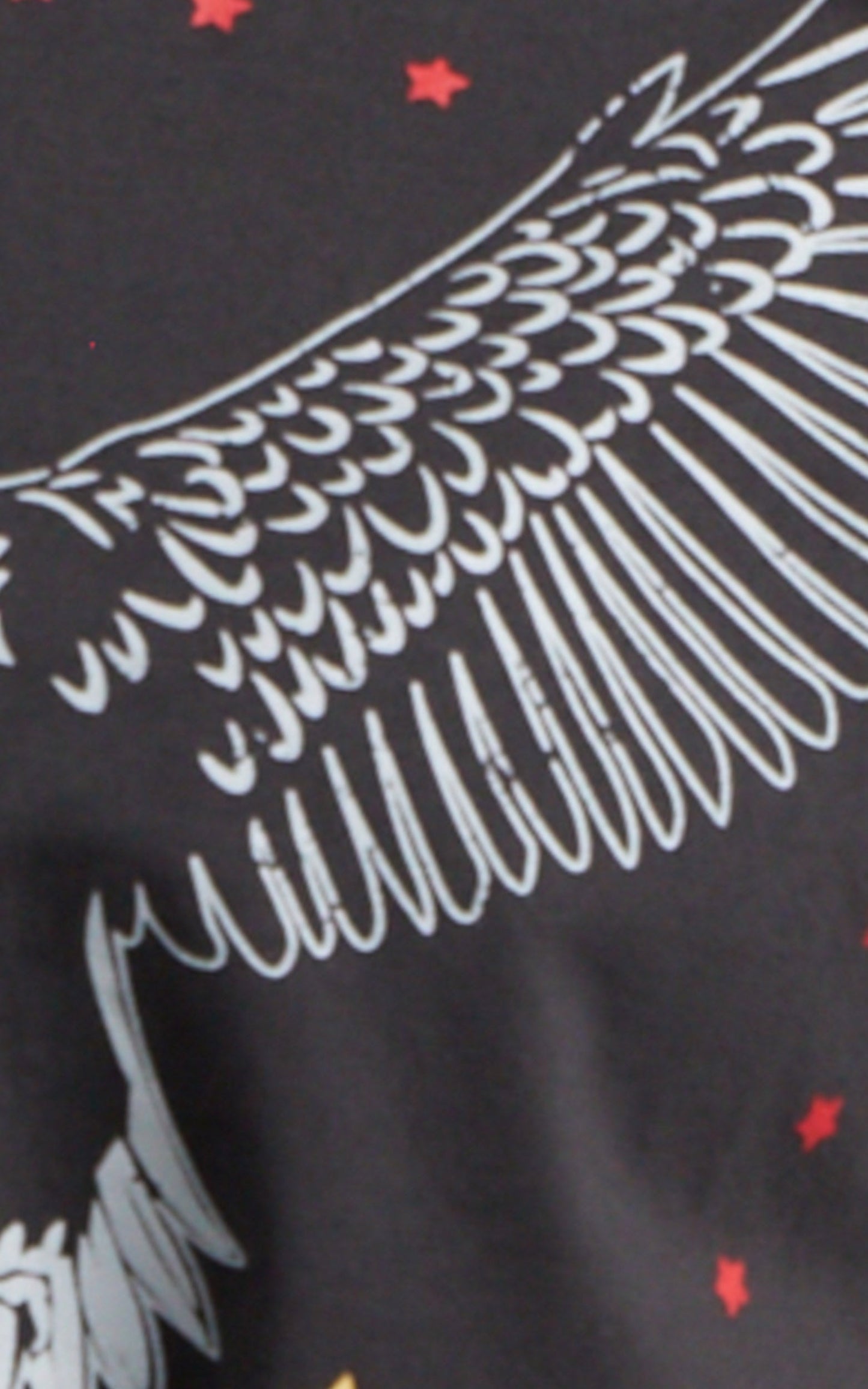 Thunderbirds Vintage Graphic Tee in Charcoal