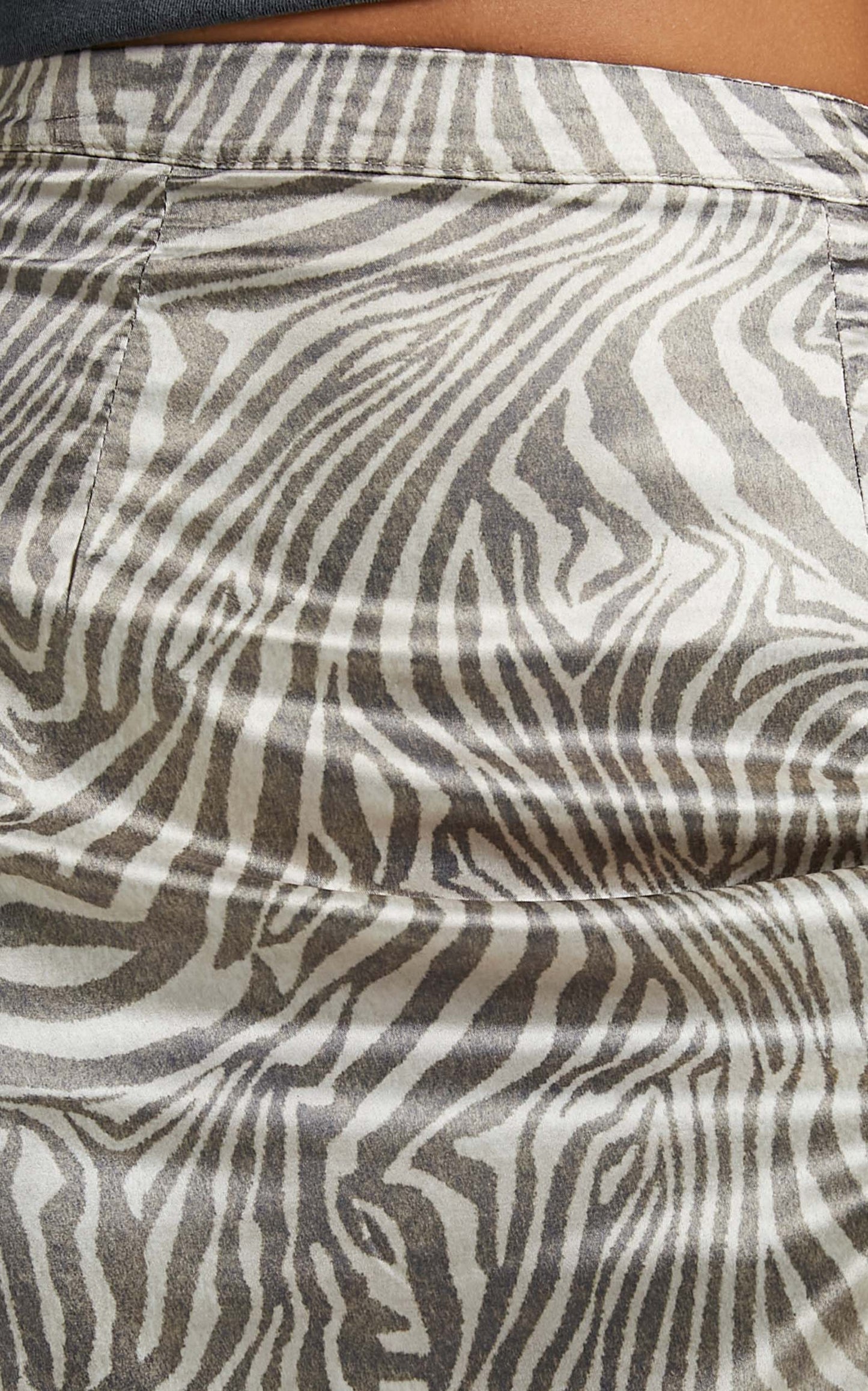 Banba Skirt in Zebra