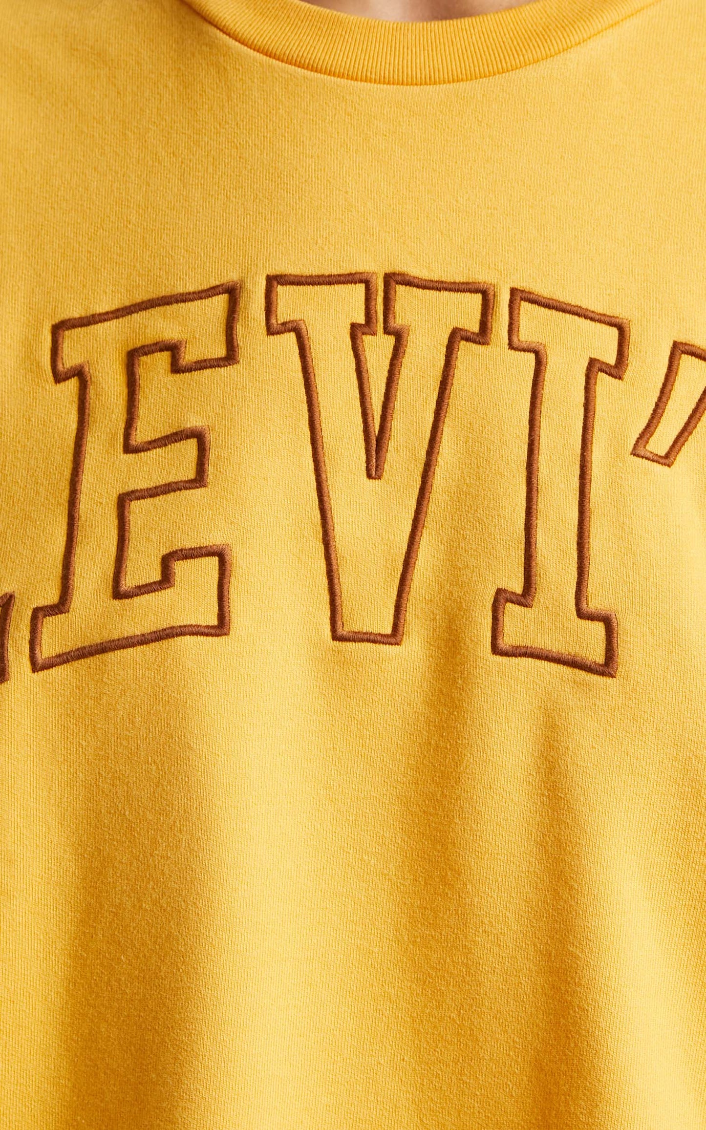 Levi's - Graphic Prism Varsity Crew in Amber