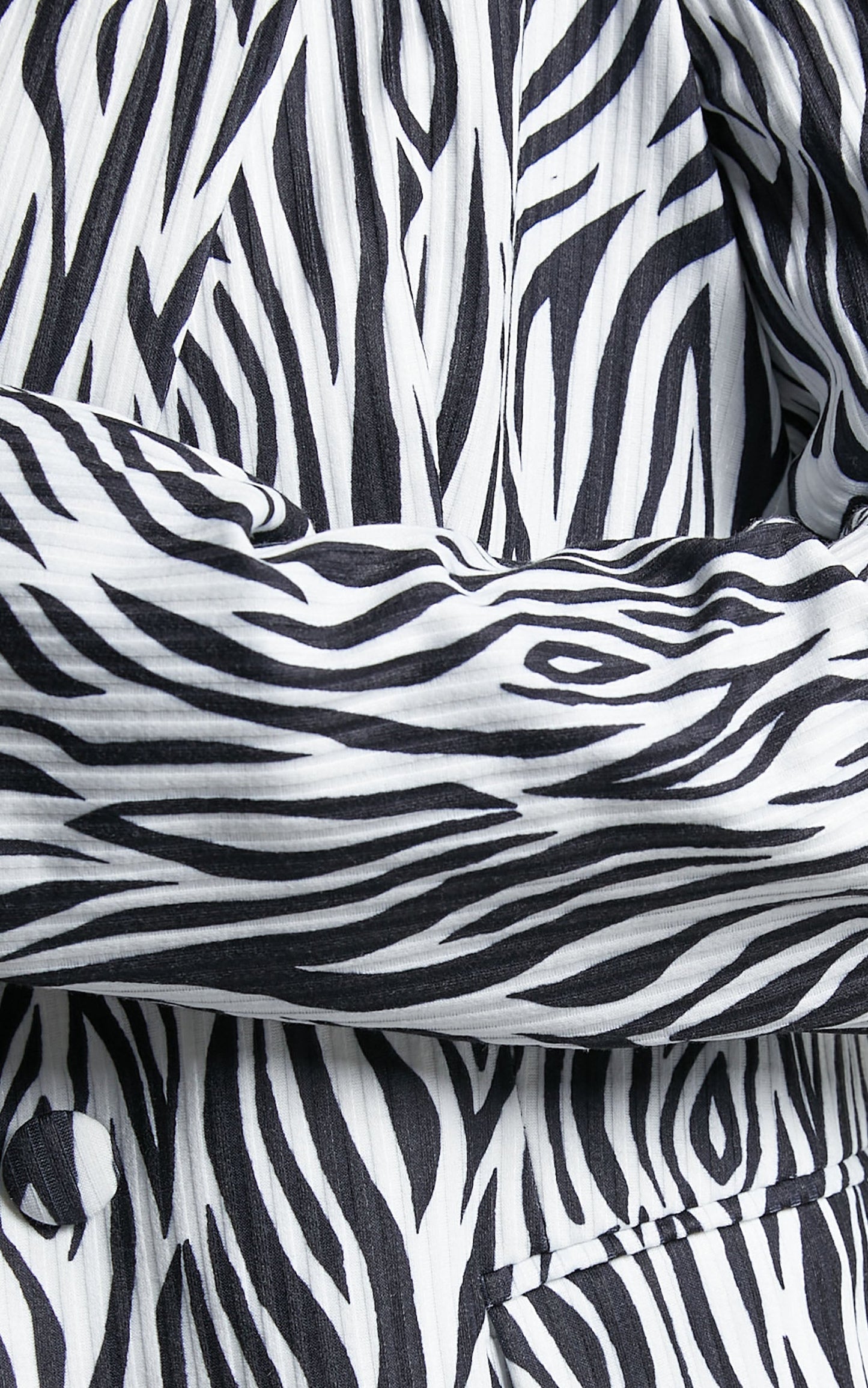 Robbia Blazer in Zebra Print
