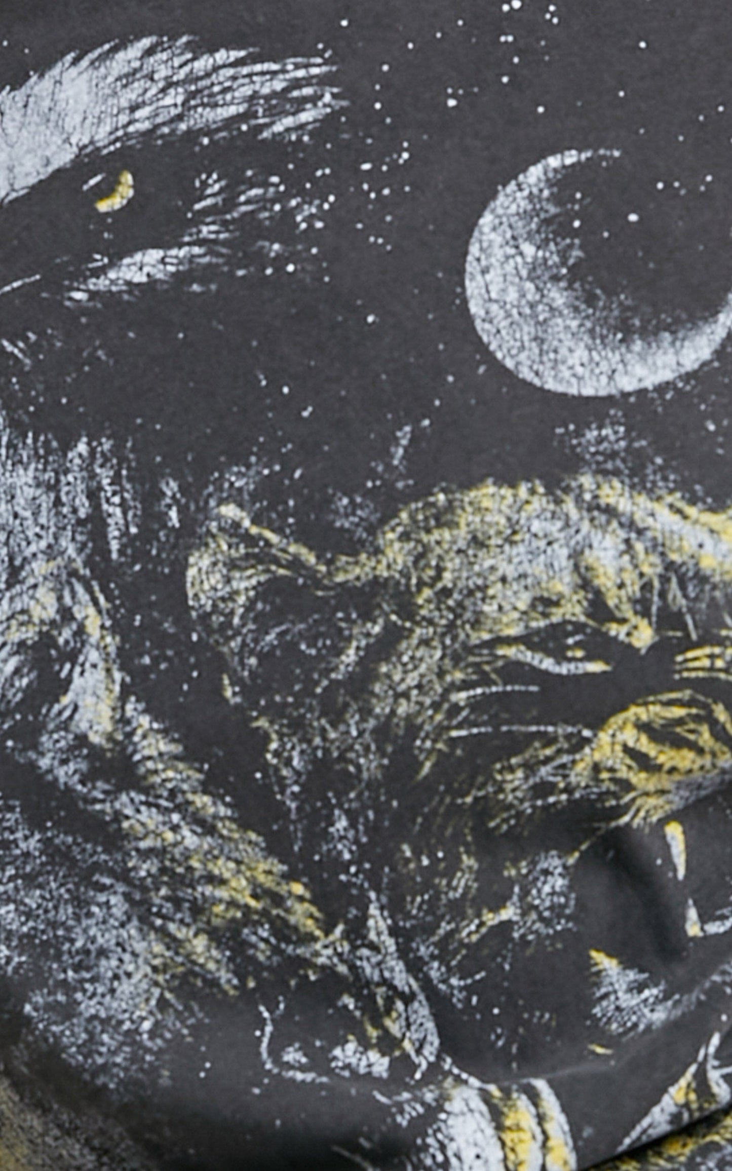 The People Vs - Wilderness Society Boyfriend Tee in Vintage Black