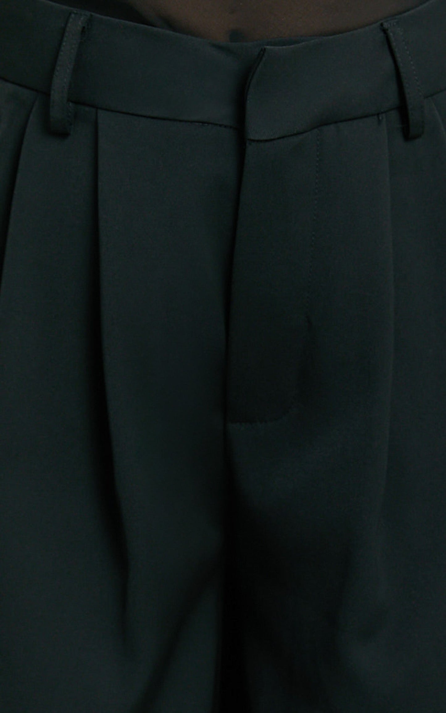Xandria Pants - Low Rise Double Pleated Wide Leg Pants in Black