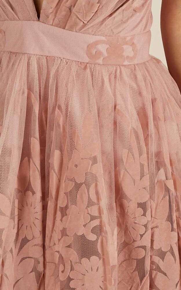 Moon Beam Dress In Blush