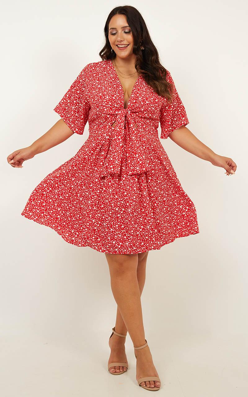 Dreaming About You Dress In Red Floral