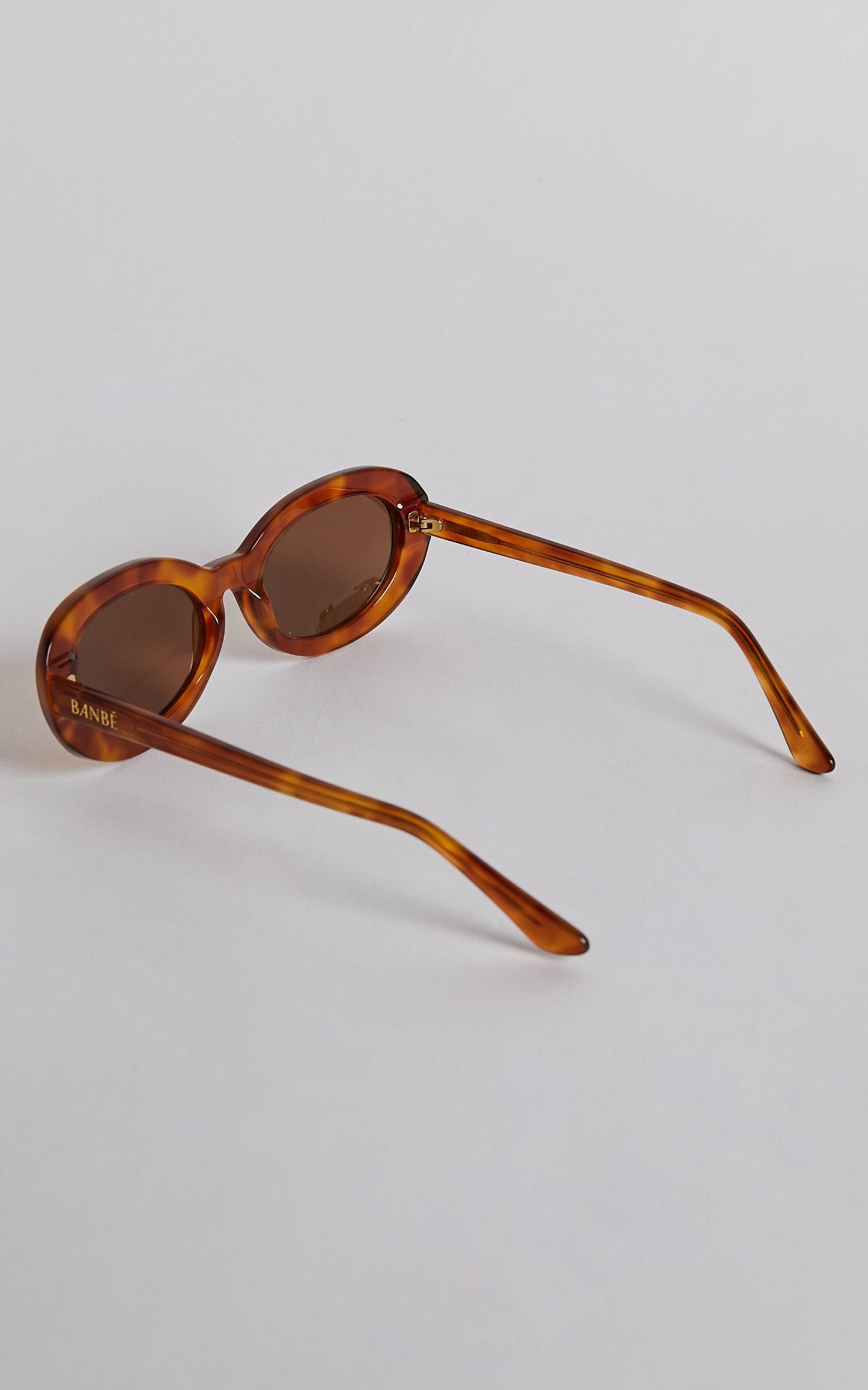 Aaliya Round Sunglasses in Tort Brown