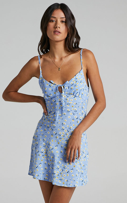 Texas Dress in Blue Floral
