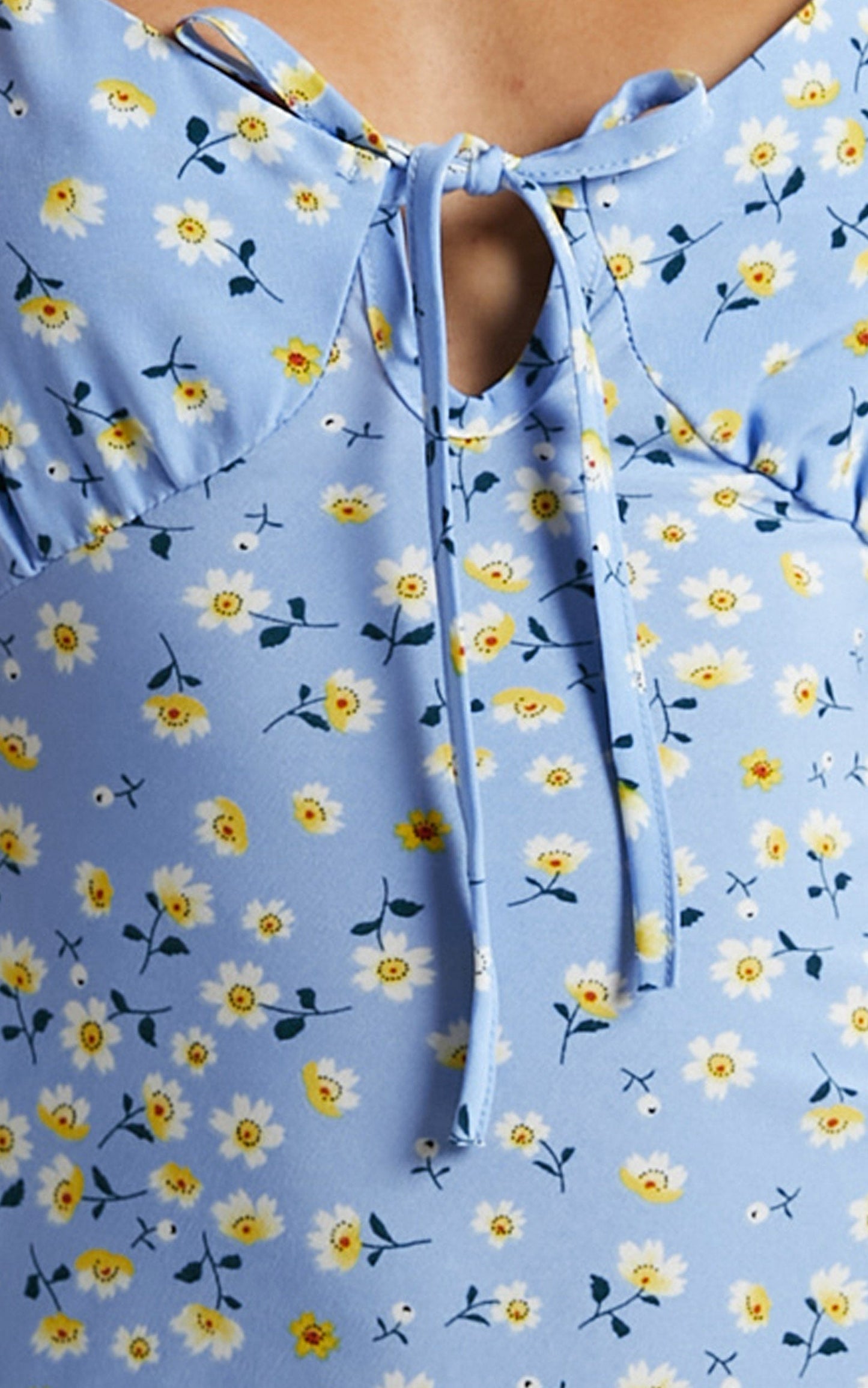 Texas Dress in Blue Floral