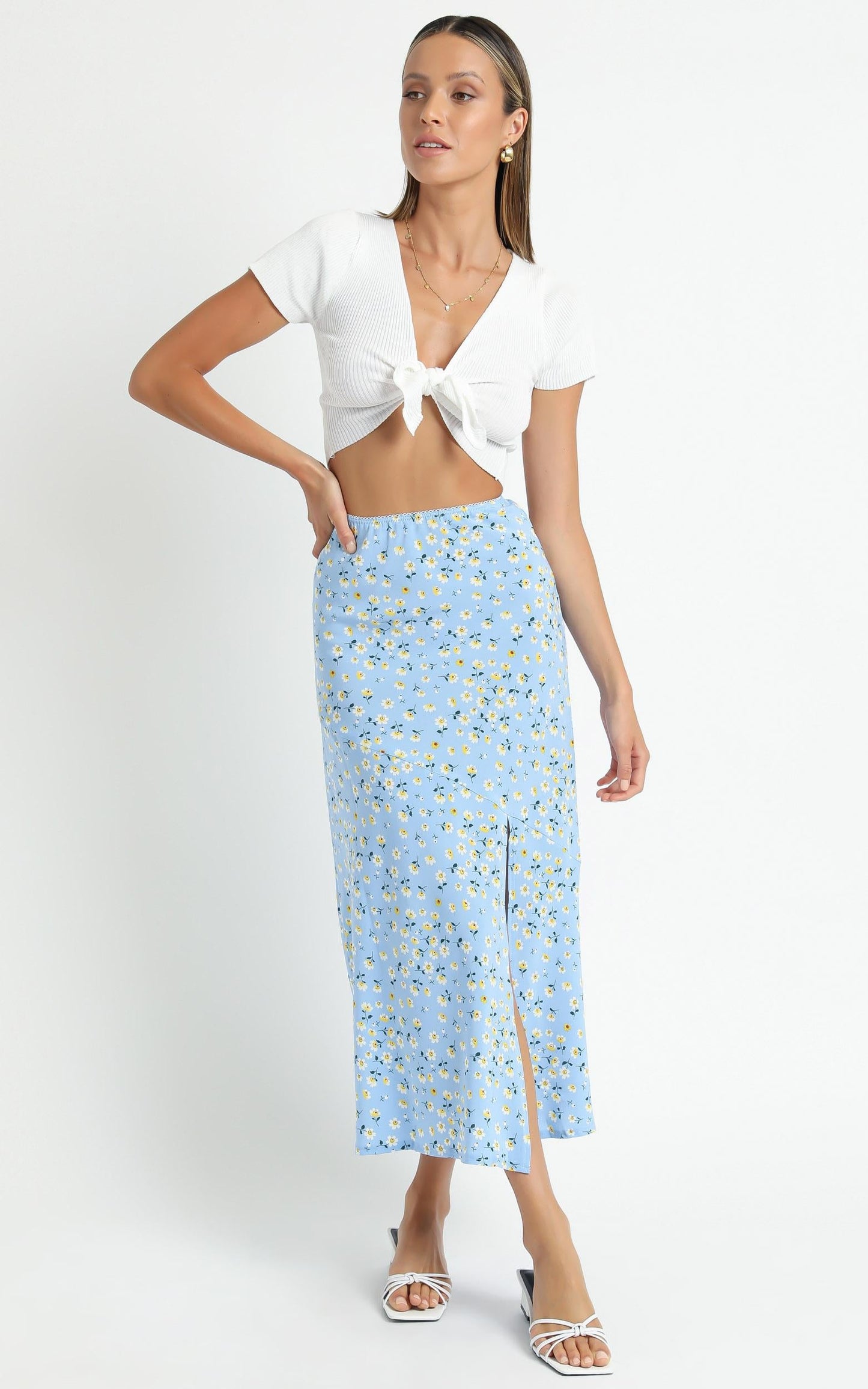 Massachusetts Skirt in Blue Floral