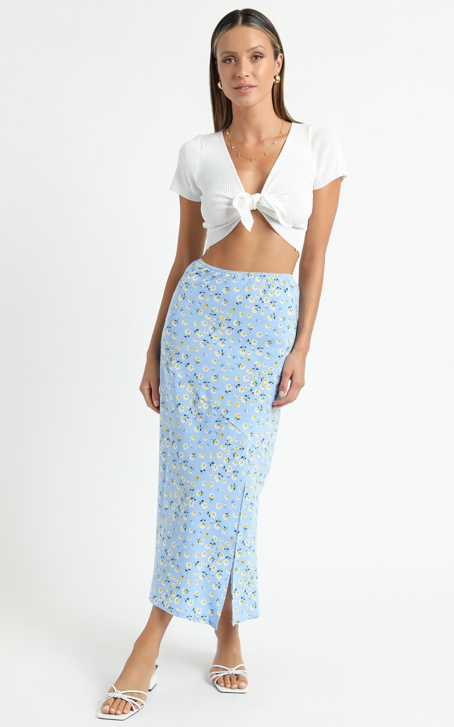 Massachusetts Skirt in Blue Floral