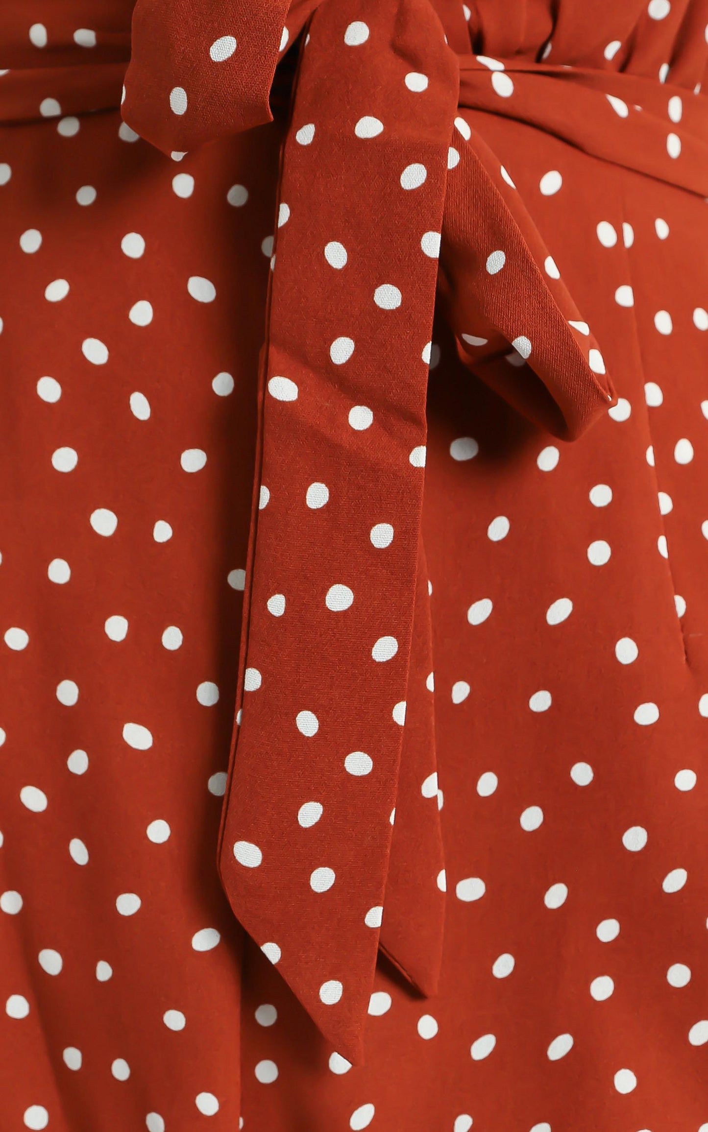 Thought Provoking Jumpsuit in Rust Spot
