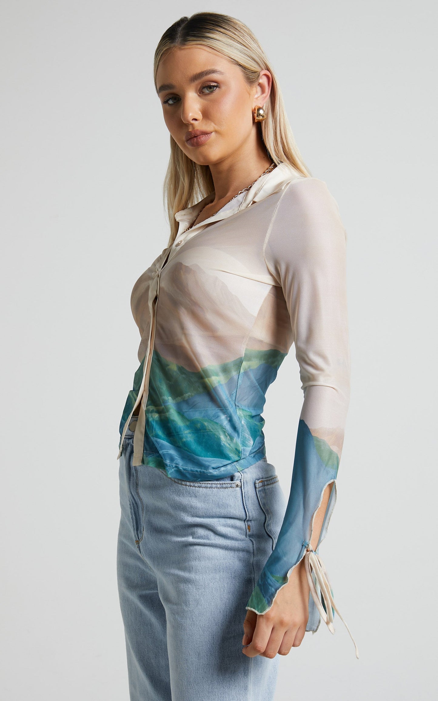 4th & Reckless - Elyanna Top in Sheer Print