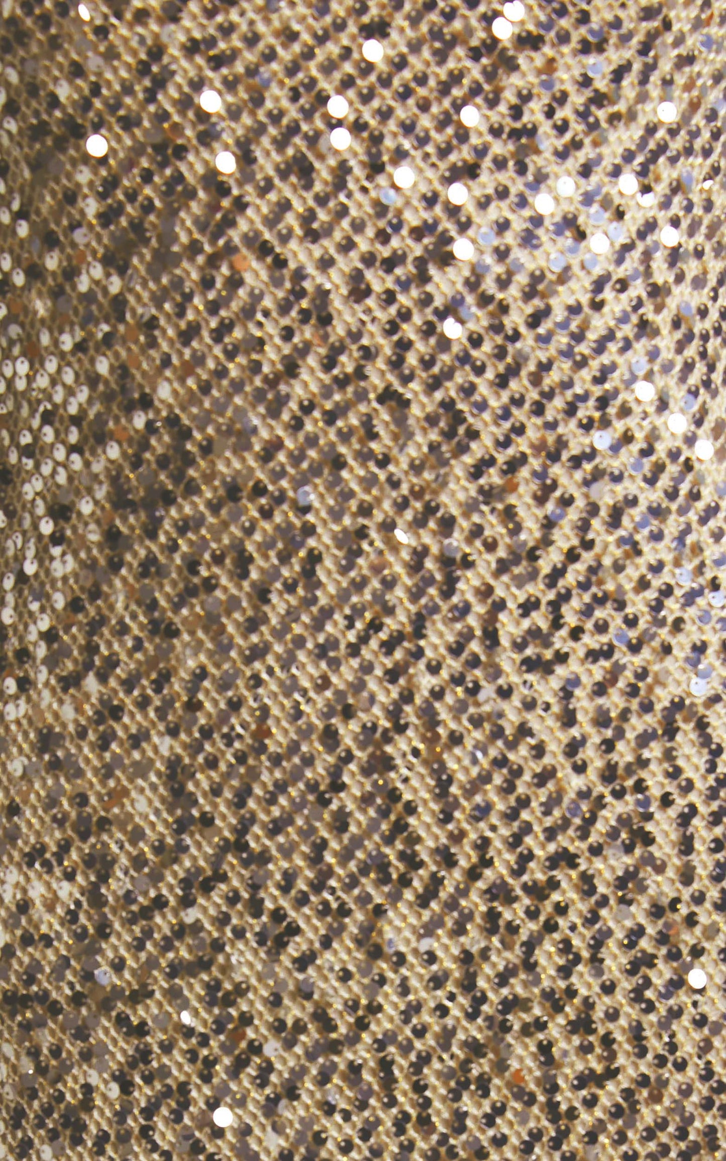 Denise Maxi Dress - Sequin Slip Dress in Champagne