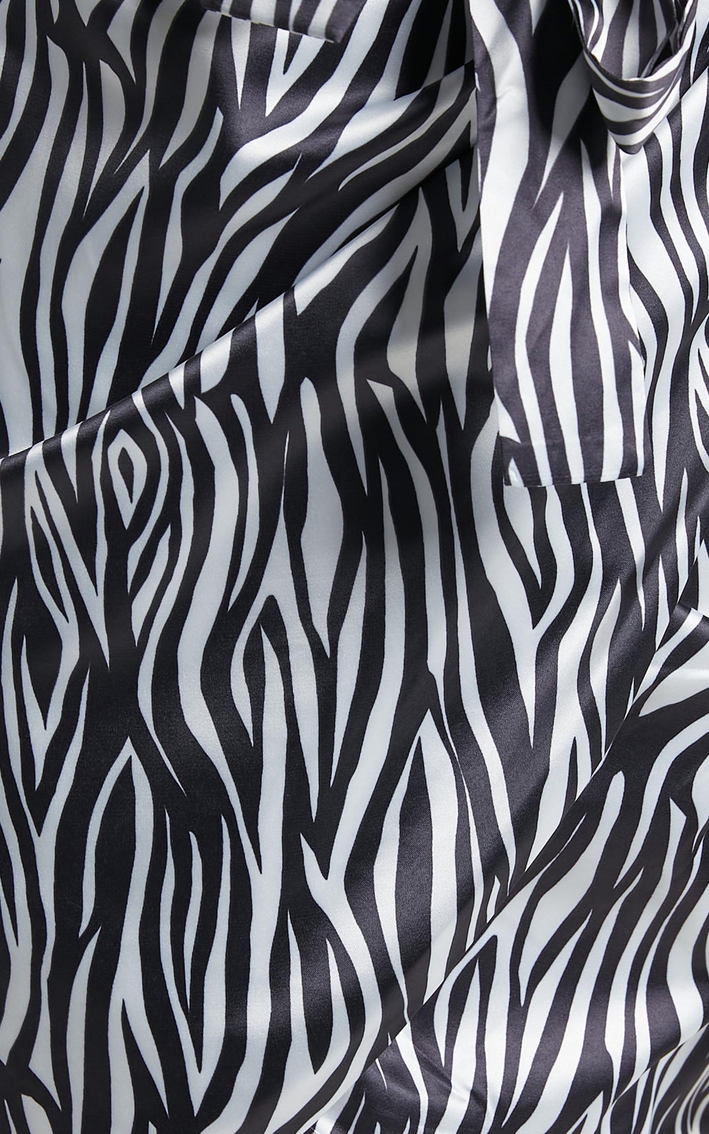 Dunoon Mini Dress in Zebra