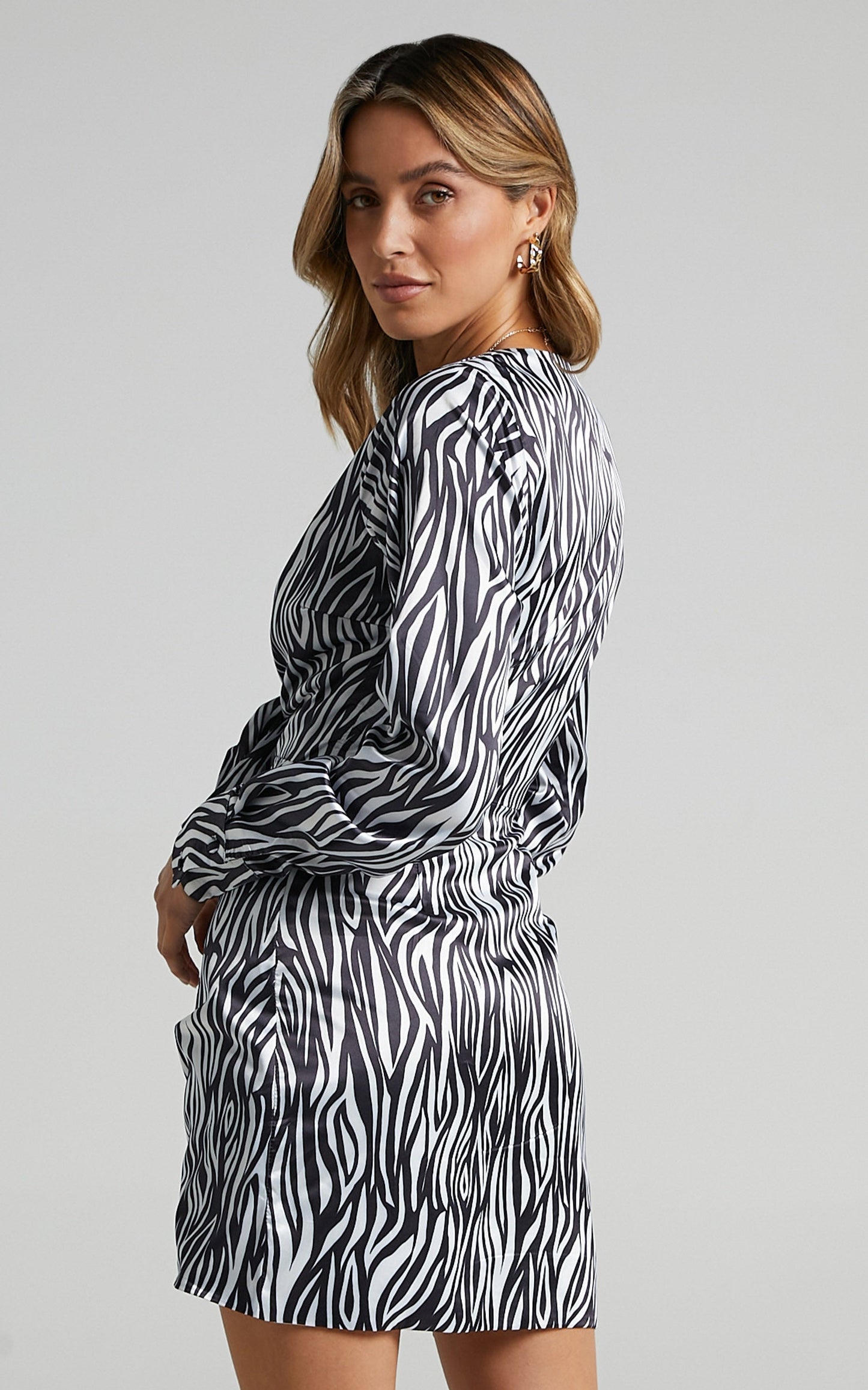 Dunoon Mini Dress in Zebra