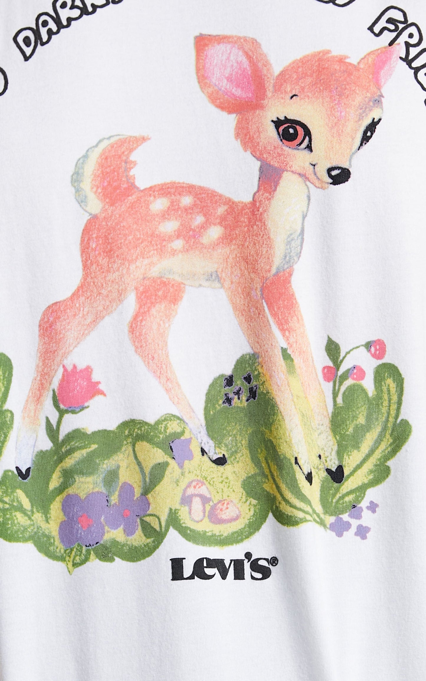 Levi's - Graphic Roadtrip Tee in Hello Darkness Bambi White