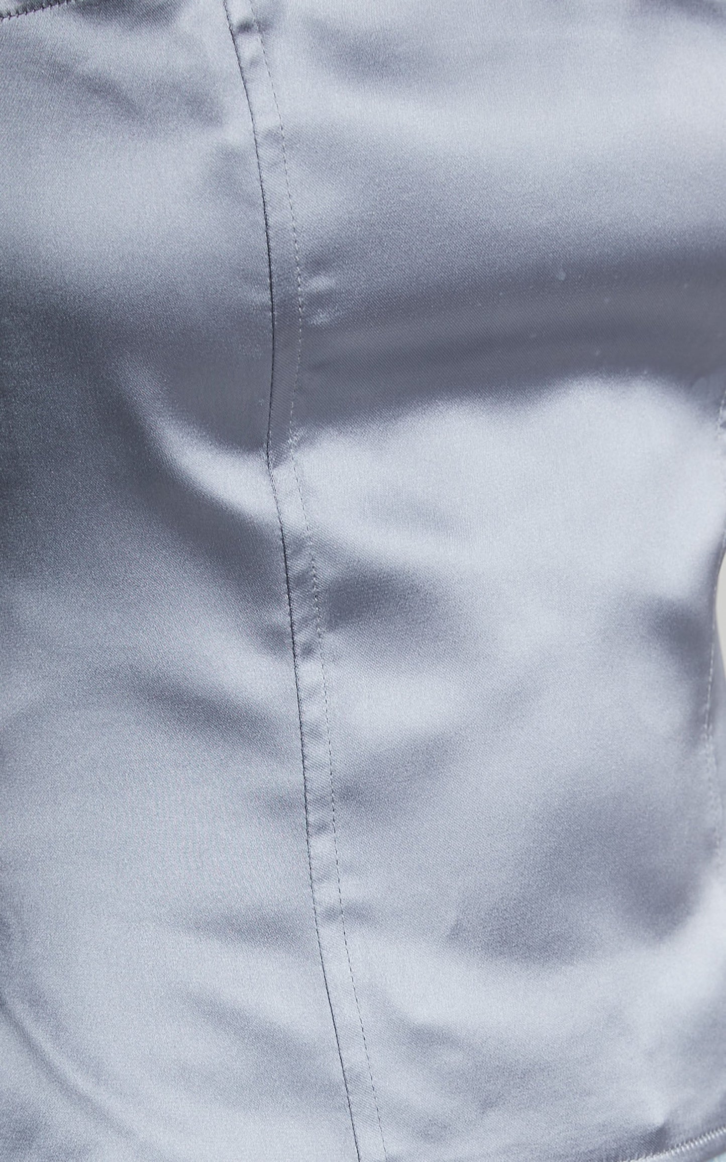 Lioness - The Muse Corset in SONIC SILVER