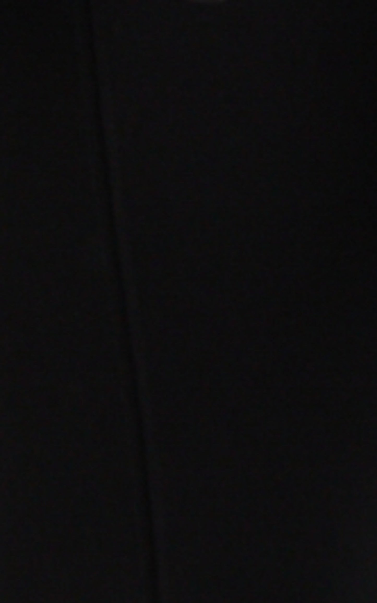 4th & Reckless - BELLA LEGGING in Black