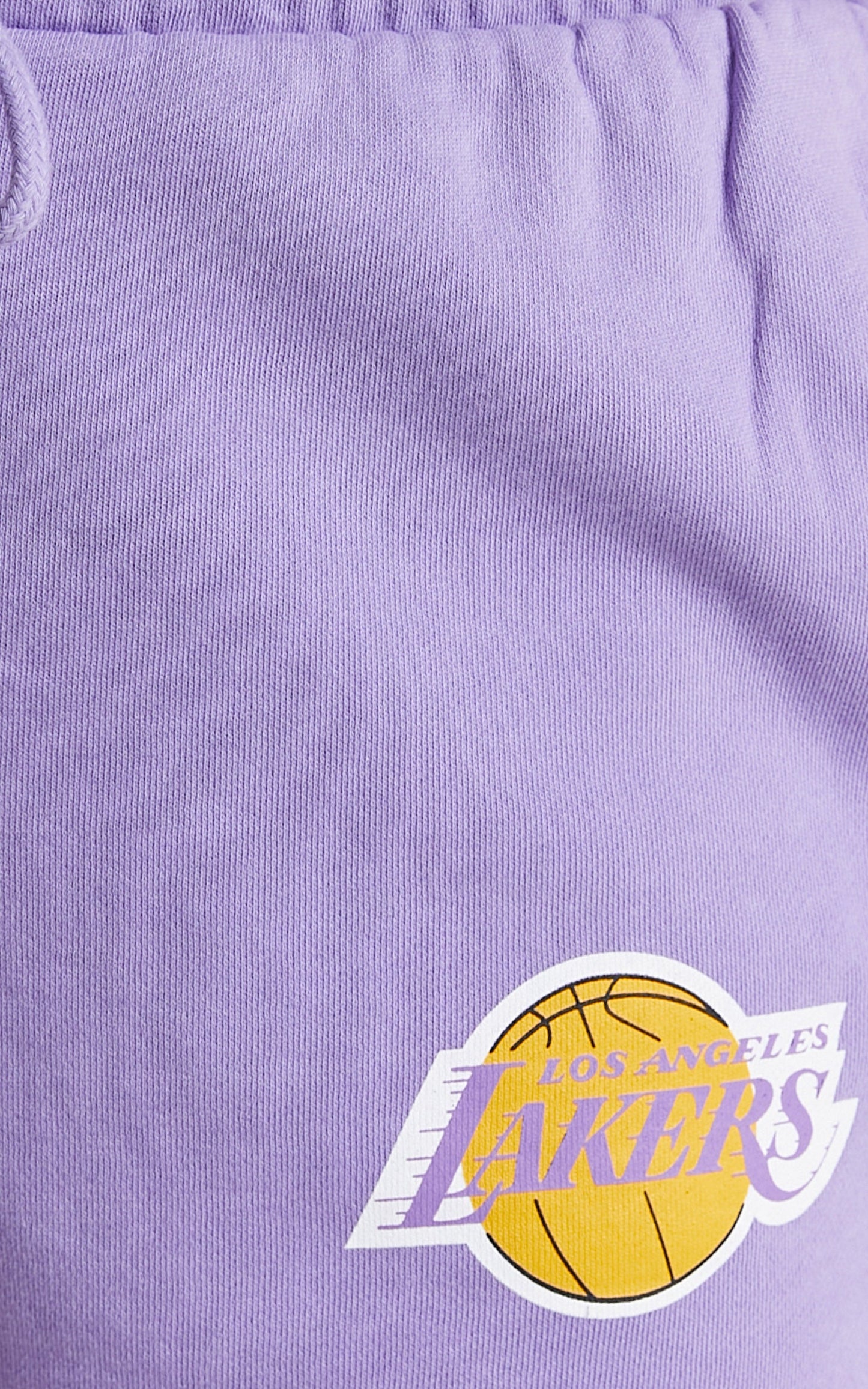 Mitchell & Ness - Lakers Courtney Short in Faded Purple