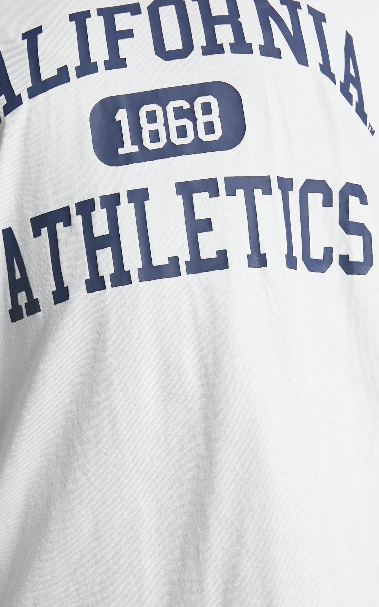 NCAA - Berkeley University Athletics Tee in Vintage White