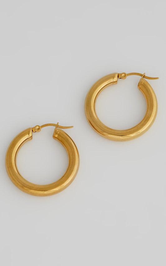 Peta and Jain - Sapphire Earrings in Gold