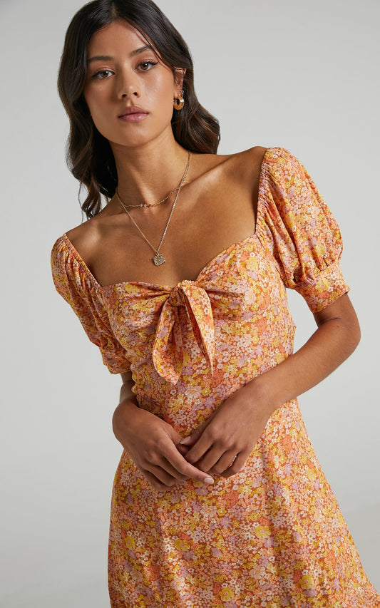 Rosa Dress in Blushing Floral