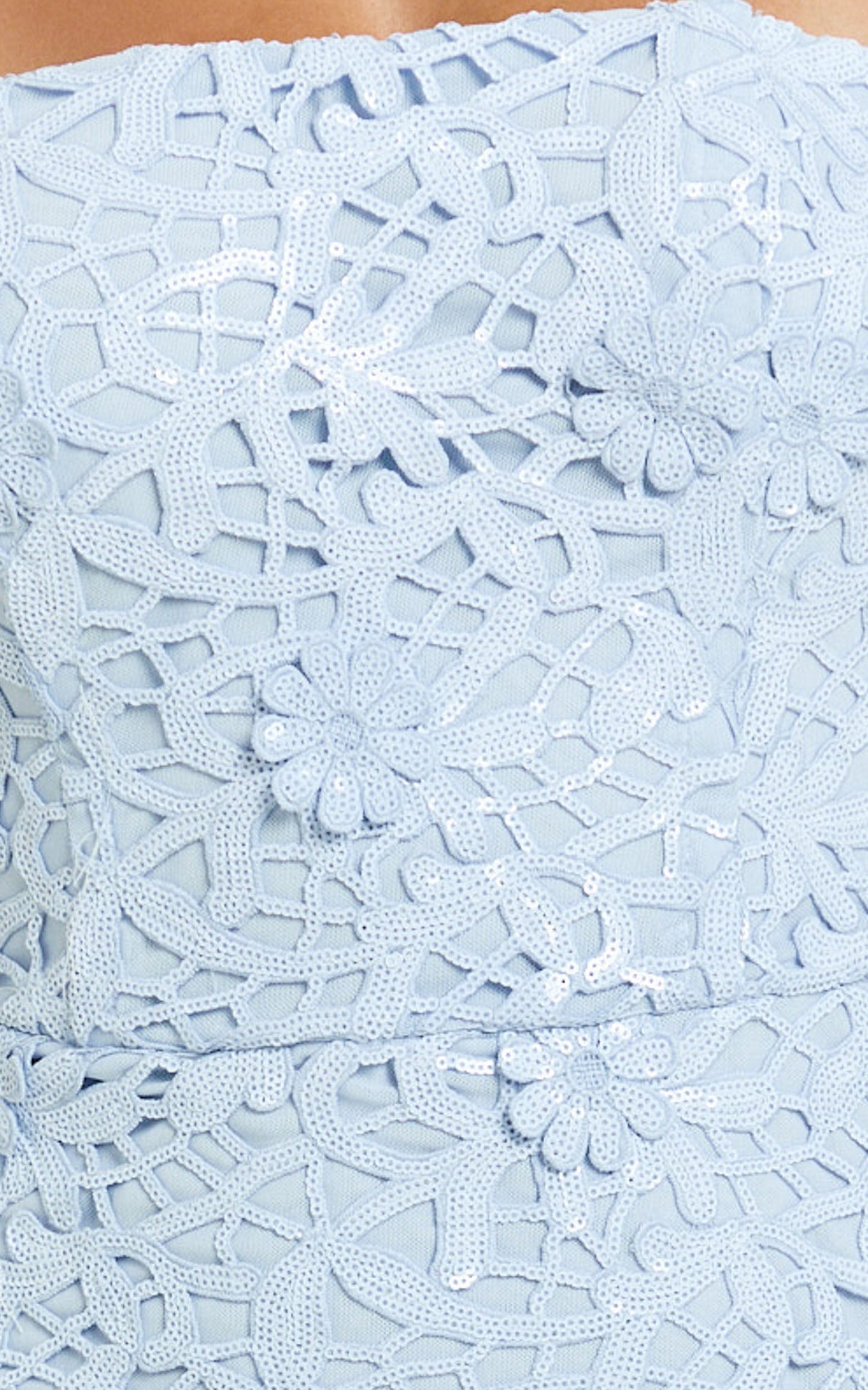 Sabine Maxi Dress - 3D Sequin Floral Strapless in Sky Blue