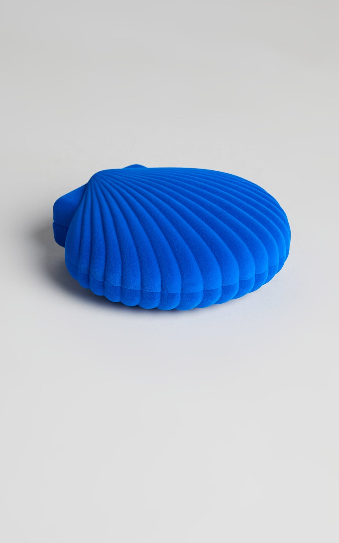 DOIY - Venus Shell Jewellery Box in Blue