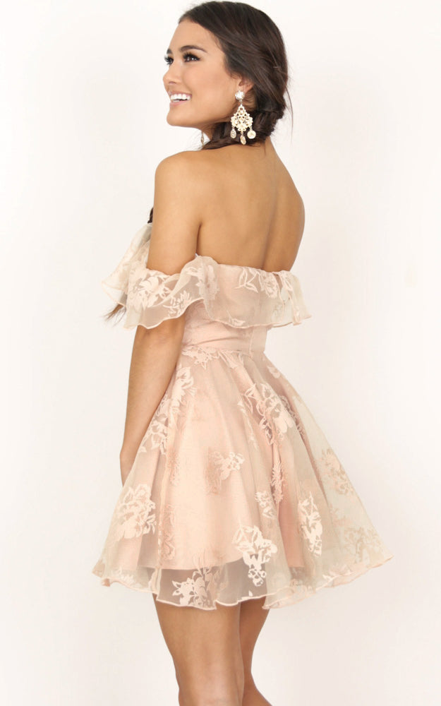 Evening Star Dress In Nude