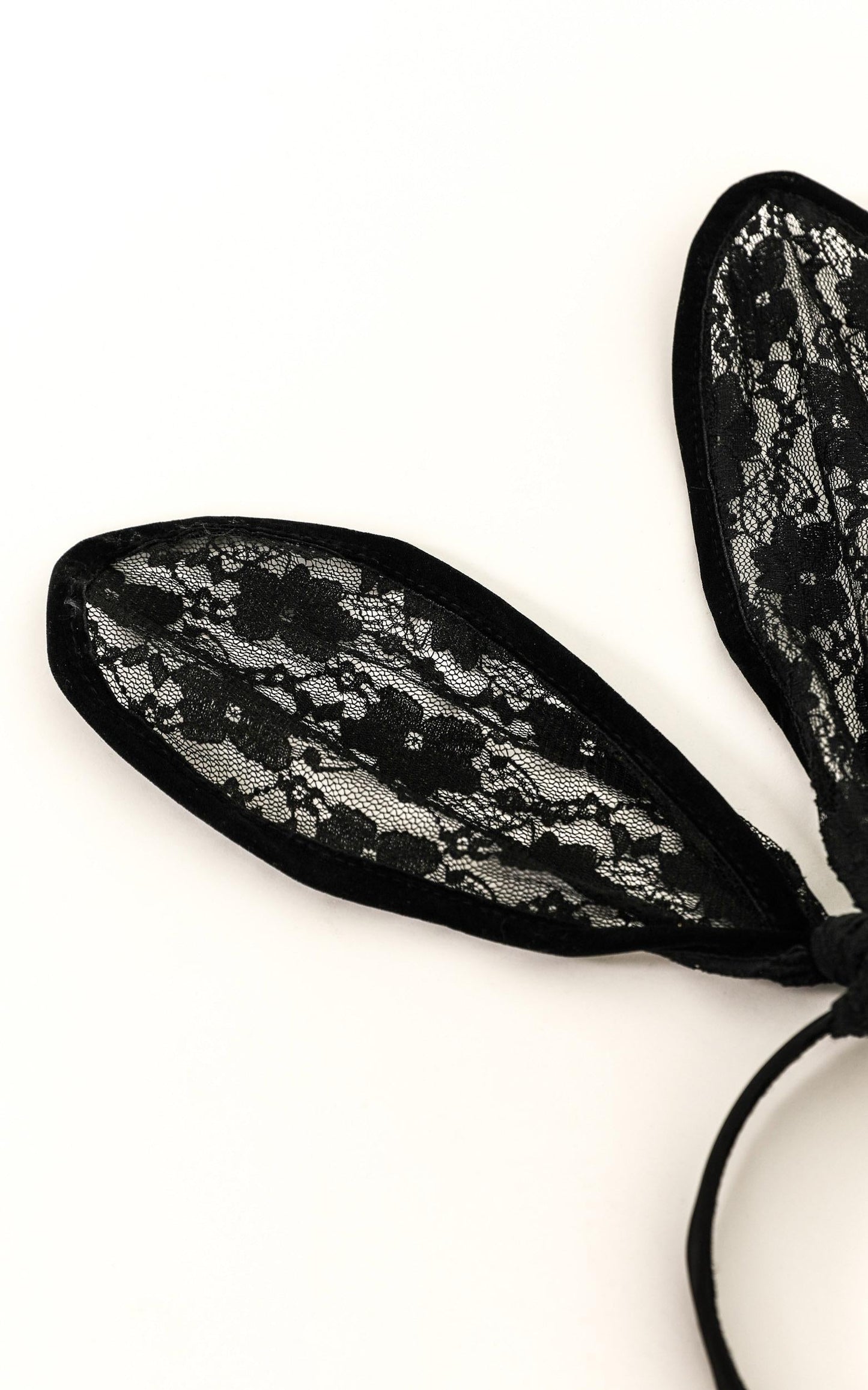 Bunny Ears In Black Lace