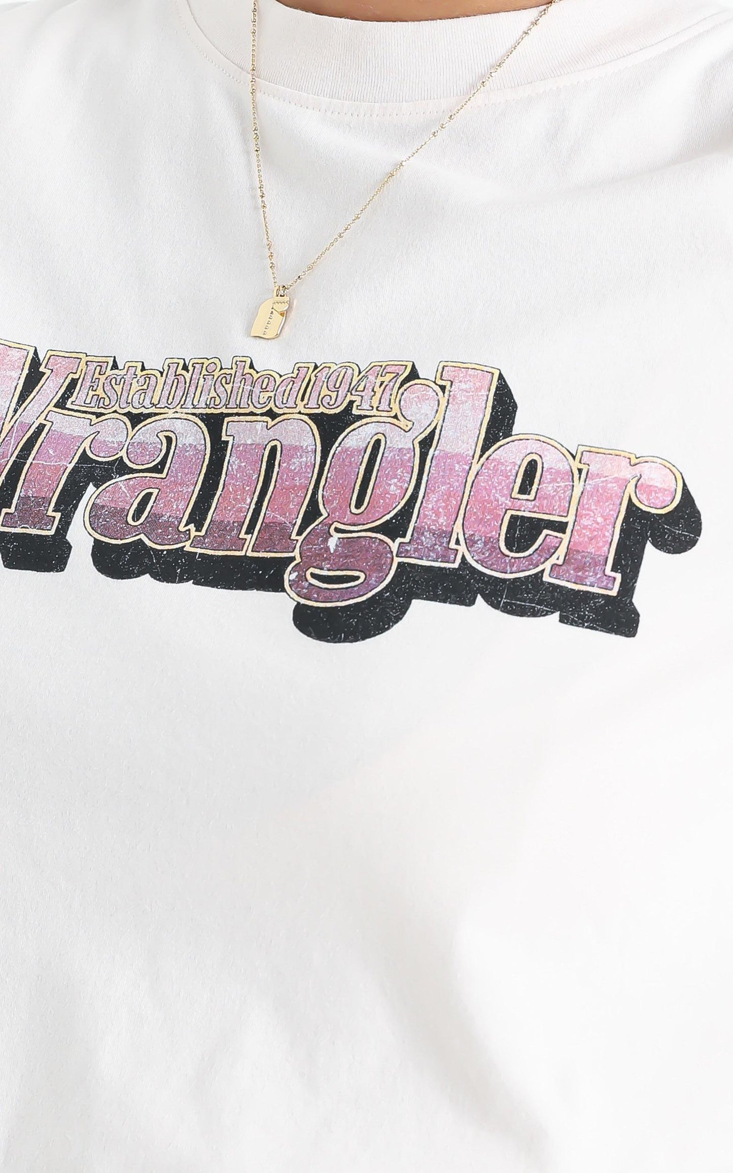 Wrangler - Hyland Tee in Faded Pink