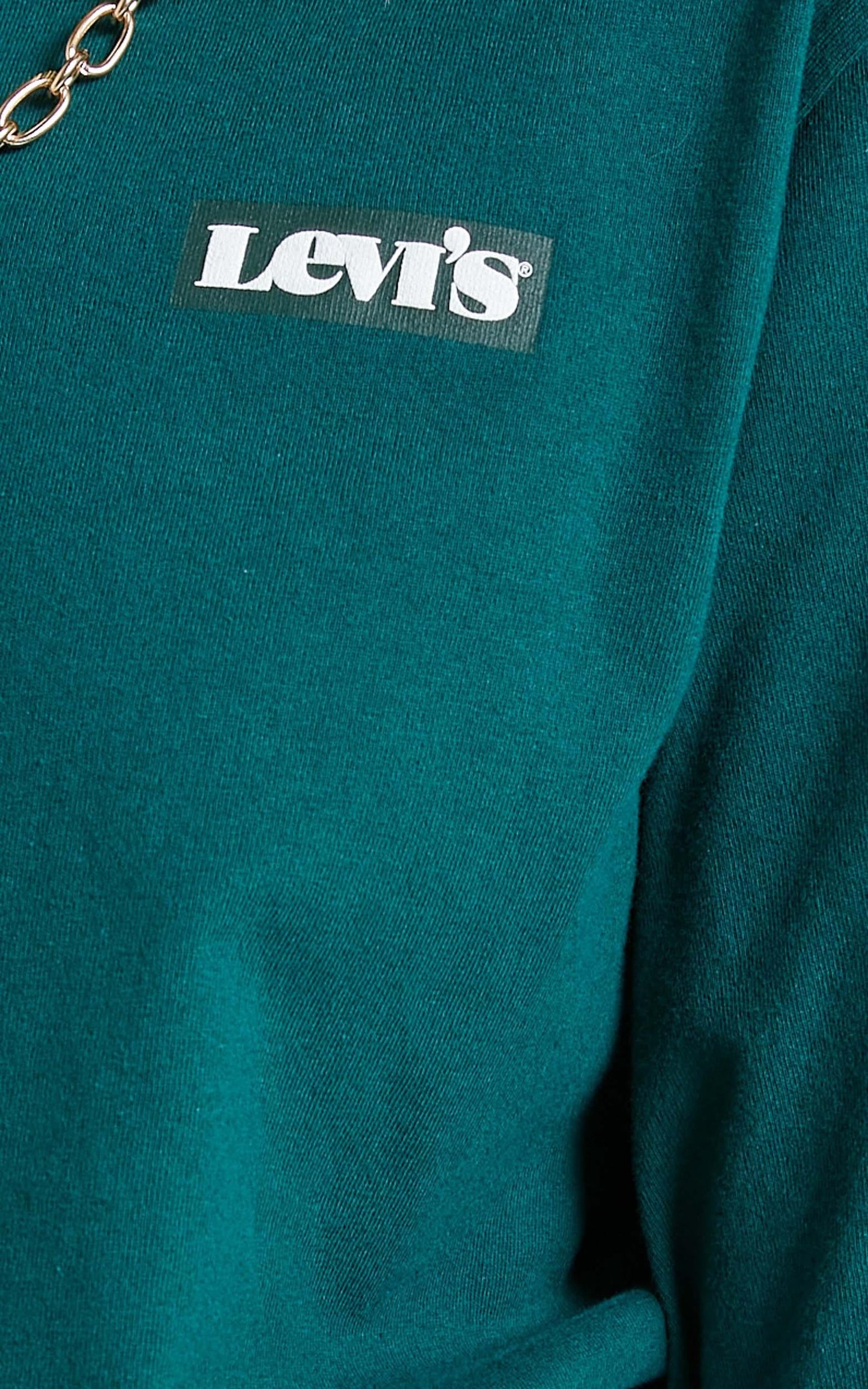 Levi's - Heavyweight Box Logo Tee in Forest