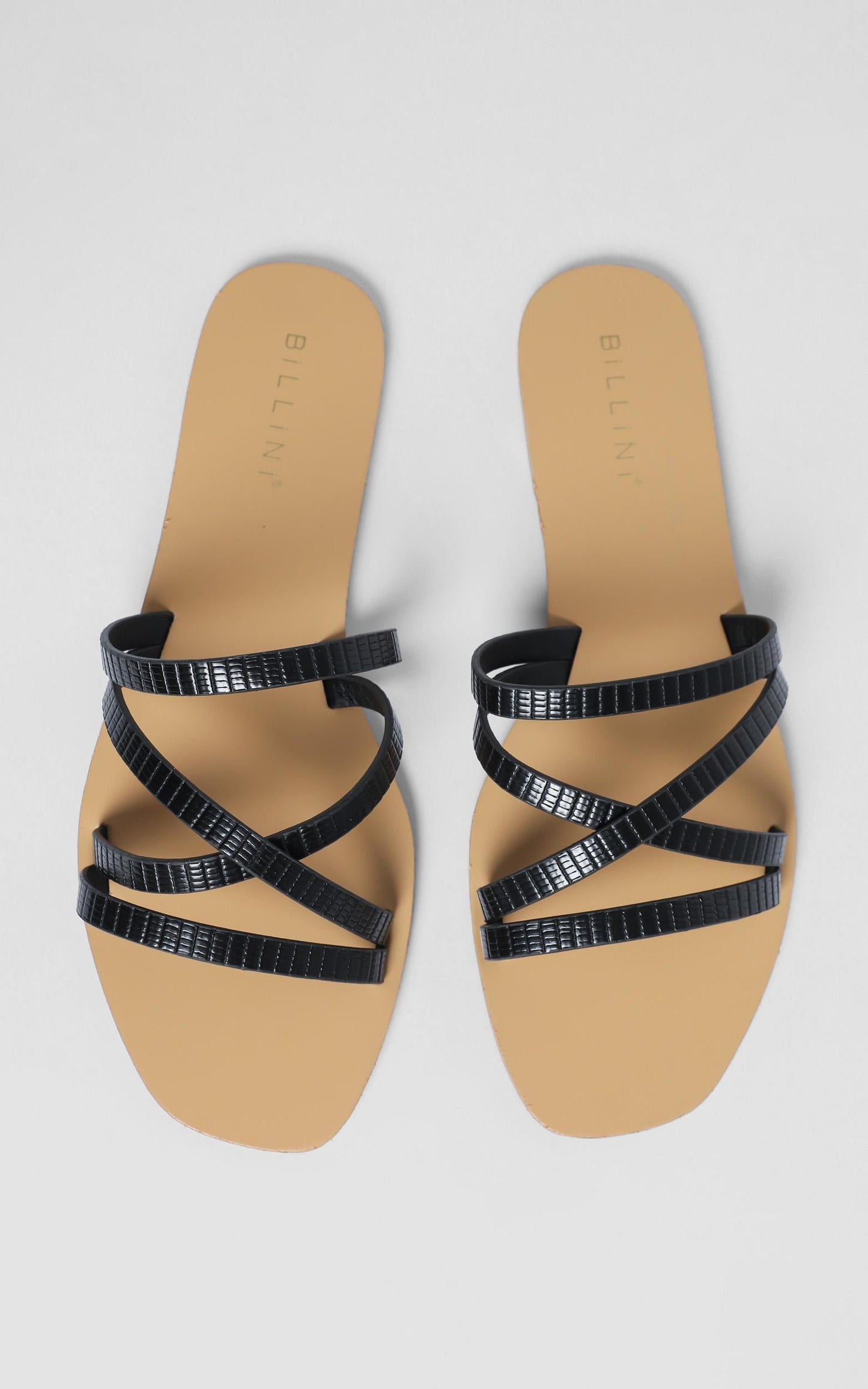 Billini - Houston Slides in Black Lizard