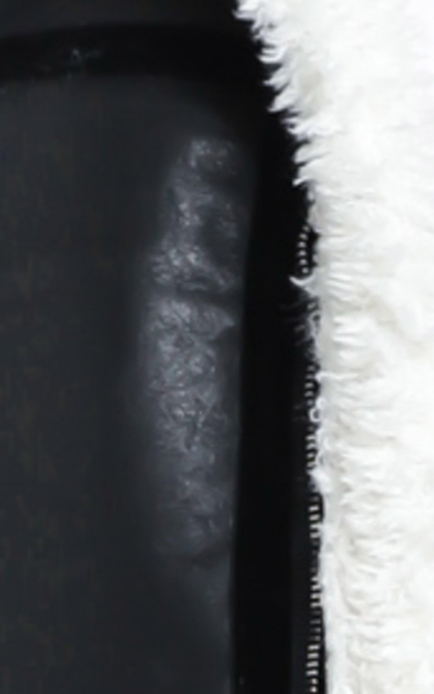 Lioness - Phoenix Jacket in Black