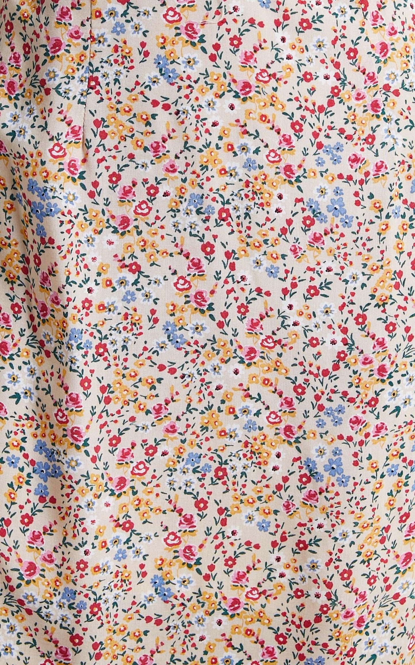 Slow Rush Dress in Multi Floral