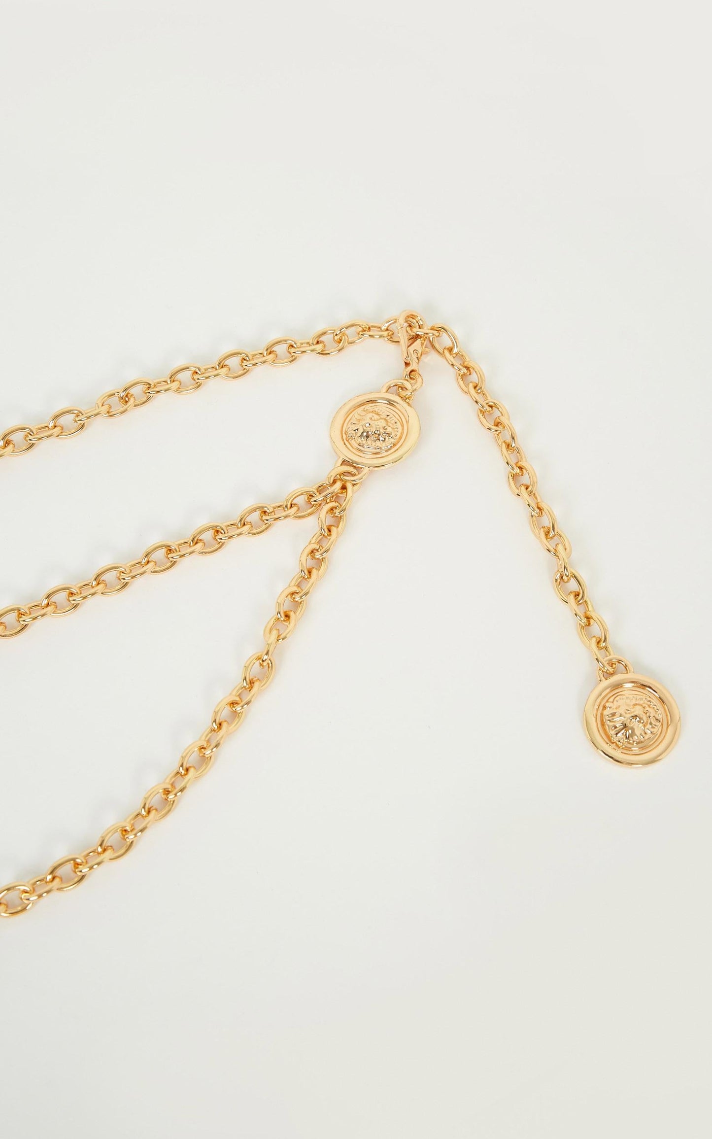 Share It All Belt In Gold