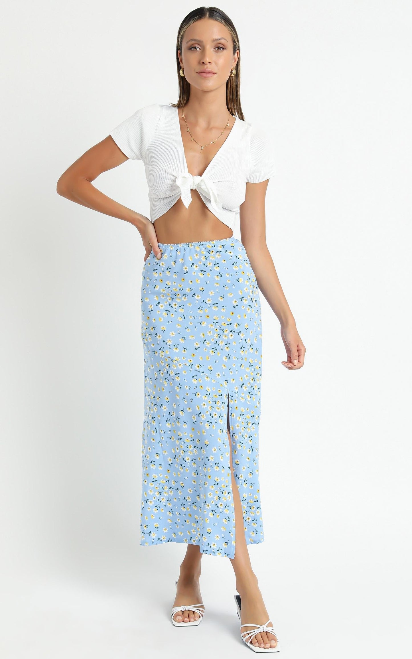 Massachusetts Skirt in Blue Floral