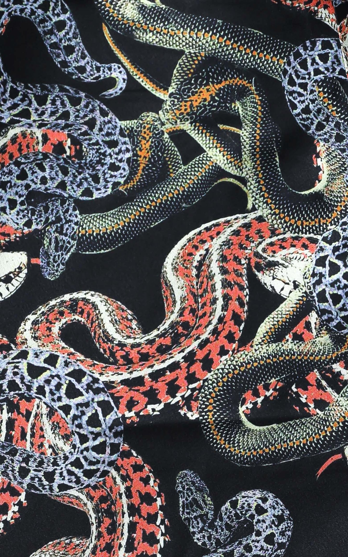 Twiin - Snakes Alive Mini Slip Skirt in Multi