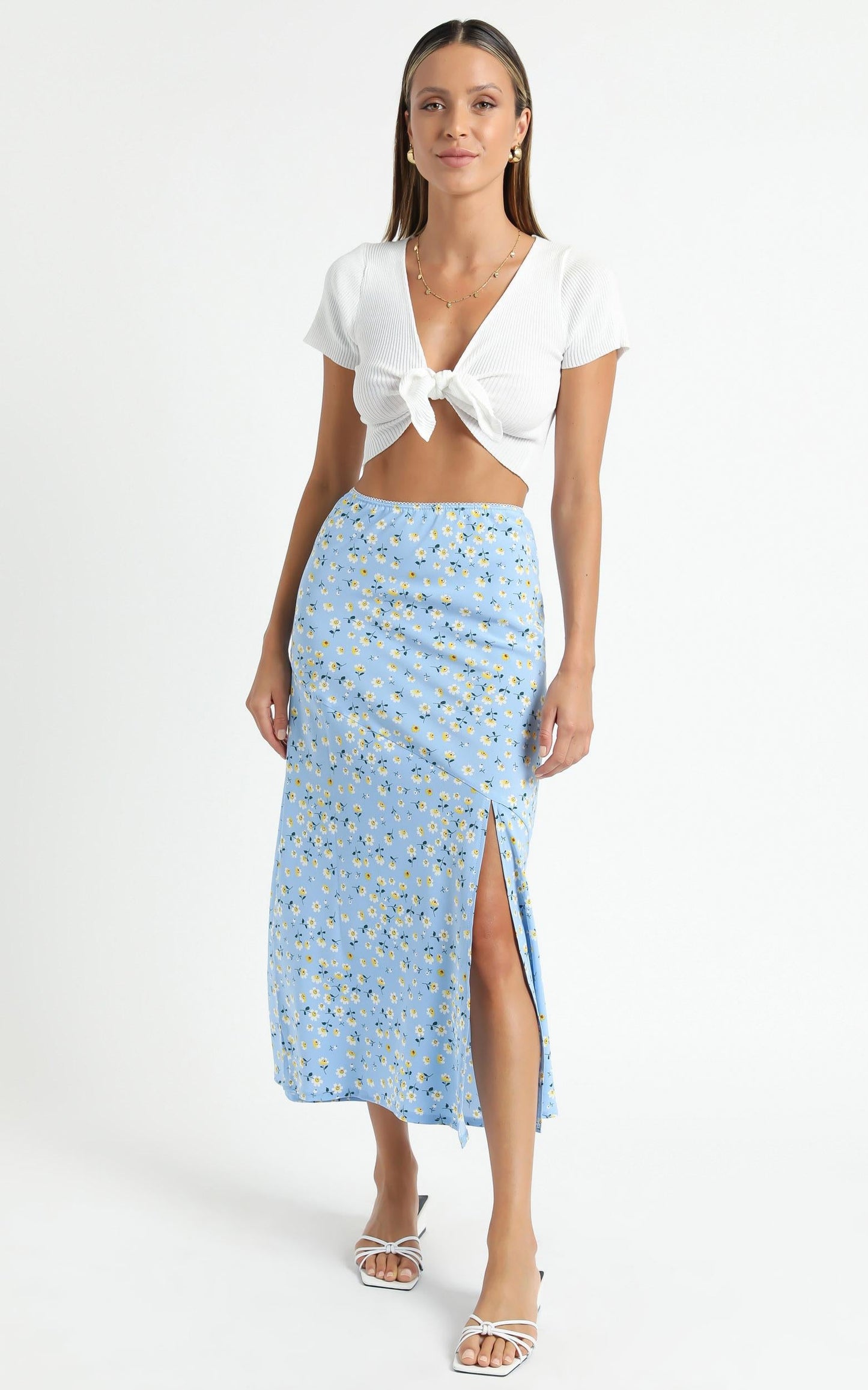Massachusetts Skirt in Blue Floral
