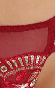 Kat The Label - Elixir Lace Thong in Berry