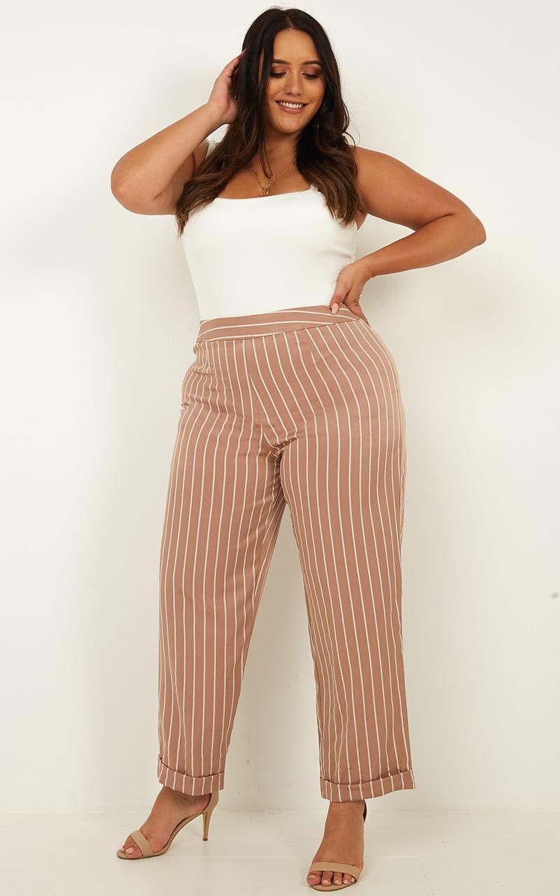 What You Needed Pants In Mocha Stripe
