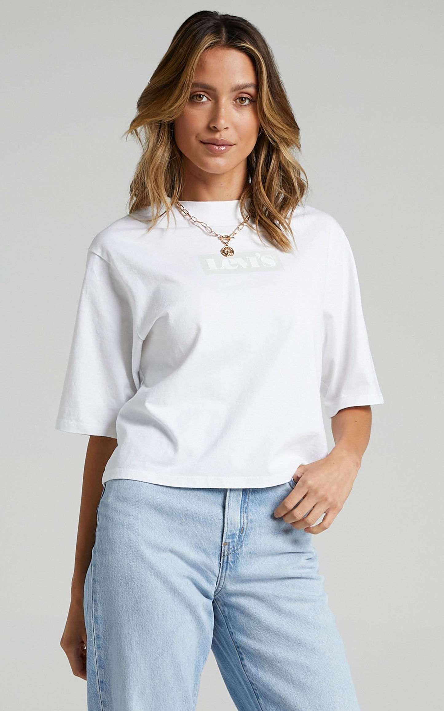 Levis - Heavyweight Box Logo Tee in White